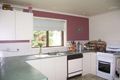 Property photo of 19 Candlebark Street Thurgoona NSW 2640