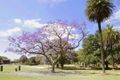 Property photo of 117 Brighton Street Petersham NSW 2049