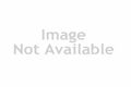 Property photo of 26 Alexandra Crescent Harrington Park NSW 2567