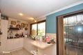 Property photo of 15 Kalmia Court Tamborine Mountain QLD 4272