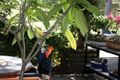 Property photo of 213 Carbeen Crescent Nanango QLD 4615
