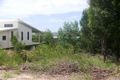 Property photo of 31 Aquamarine Avenue Russell Island QLD 4184