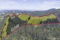 Property photo of 415-467 Doaks Road Lilydale TAS 7268