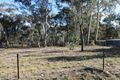Property photo of 6 Elgin Street Dunolly VIC 3472