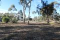 Property photo of 6 Elgin Street Dunolly VIC 3472