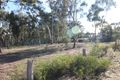 Property photo of 6 Elgin Street Dunolly VIC 3472