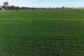 Property photo of Dawes Road Forbes NSW 2871
