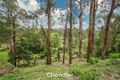 Property photo of 34 Thompson Road Upwey VIC 3158