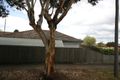 Property photo of 46 Corinella Street Bell Post Hill VIC 3215