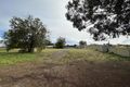 Property photo of 6 White Court Eneabba WA 6518