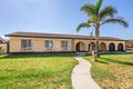 Property photo of 1 Greenfield Crescent West Lakes Shore SA 5020