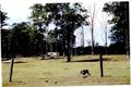 Property photo of 691 The Bucketts Way Limeburners Creek NSW 2324