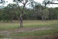 Property photo of LOT 1 Crighton Road Dalveen QLD 4374