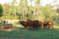 Property photo of 255 Sandy Creek Road Grantham QLD 4347