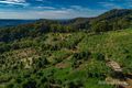 Property photo of 134 Snake Gully Road Upper Burringbar NSW 2483