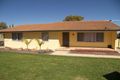 Property photo of 34 Borrow Street Freeling SA 5372