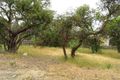 Property photo of 1 Holding Court Anglesea VIC 3230