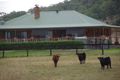 Property photo of 201 Wells Gully Road McCullys Gap NSW 2333