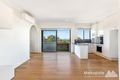 Property photo of 16/85-95 Albion Street Randwick NSW 2031