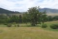 Property photo of 872 Sandy Creek Road McCullys Gap NSW 2333