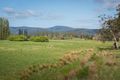 Property photo of 10137 Tasman Highway Little Swanport TAS 7190