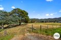 Property photo of 141 Saddle Road Magra TAS 7140