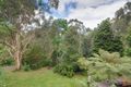 Property photo of 36 Belbrook Road Upwey VIC 3158