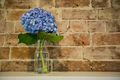 Property photo of 47 Alfred Street Mittagong NSW 2575