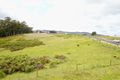 Property photo of 29 Roope Road Lower Barrington TAS 7306