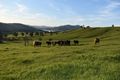 Property photo of 98 Wortmanns Lane Granya VIC 3701