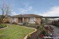 Property photo of 17 Hardy Court Berwick VIC 3806