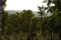 Property photo of 297 Red Brook Circle Morangup WA 6083