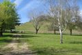 Property photo of 5900 Tooma Road Bringenbrong NSW 3707