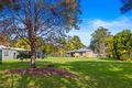 Property photo of 4 Blue Gum Place Kew NSW 2439