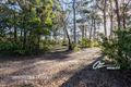 Property photo of 62 Flamingo Avenue Sanctuary Point NSW 2540