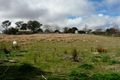 Property photo of 206 Logan Street Tenterfield NSW 2372