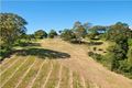 Property photo of 31 Ringtail Place Bli Bli QLD 4560