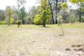 Property photo of 7000 Bruxner Highway Drake NSW 2469
