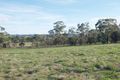 Property photo of 46 Boundary Road Coldstream VIC 3770