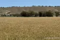 Property photo of Hills Road Robertstown SA 5381