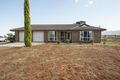 Property photo of 263 Flinders View Drive Nelshaby SA 5540