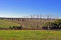 Property photo of 33 Webster Street West Kempsey NSW 2440