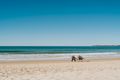 Property photo of 68 Parkway Drive Mooloolaba QLD 4557