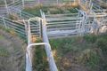 Property photo of 242 Stevens Road Currency Creek SA 5214