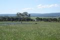 Property photo of 379 Bairnsdale-Dargo Road Hillside VIC 3875