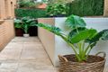 Property photo of 10/506-514 Botany Road Beaconsfield NSW 2015
