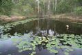 Property photo of 34 Bolcaro Road East Deep Creek QLD 4570