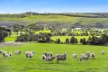 Property photo of 223 Bakers Road Russells Bridge VIC 3331