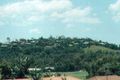 Property photo of 22 Nandina Terrace Banora Point NSW 2486