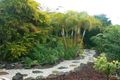 Property photo of 98 Temple Street Ballina NSW 2478